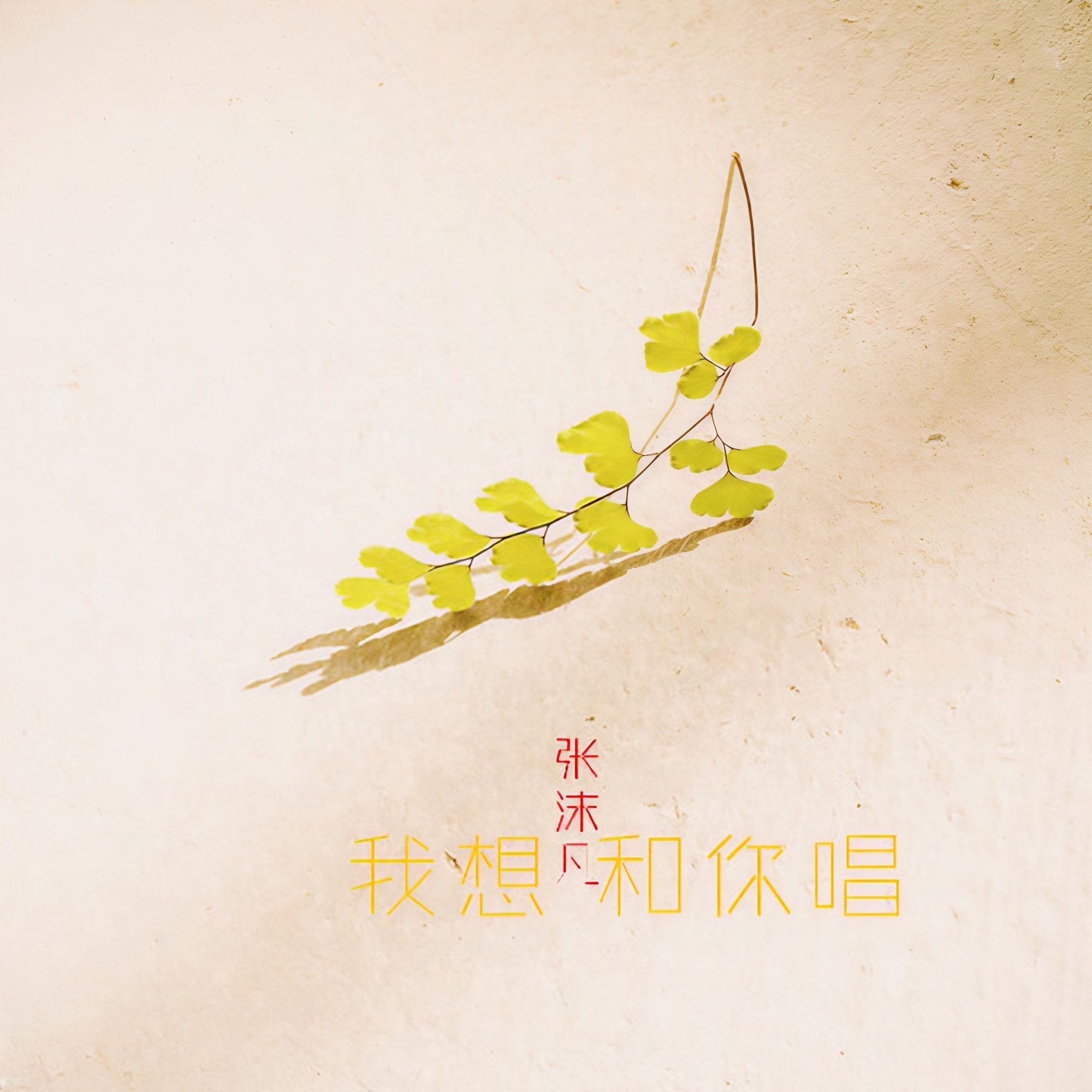 左手右手mp3下载-(轻松转换歌曲mp3格式)