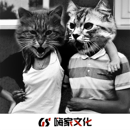 后来mp3下载_(后来mp3下载歌曲)