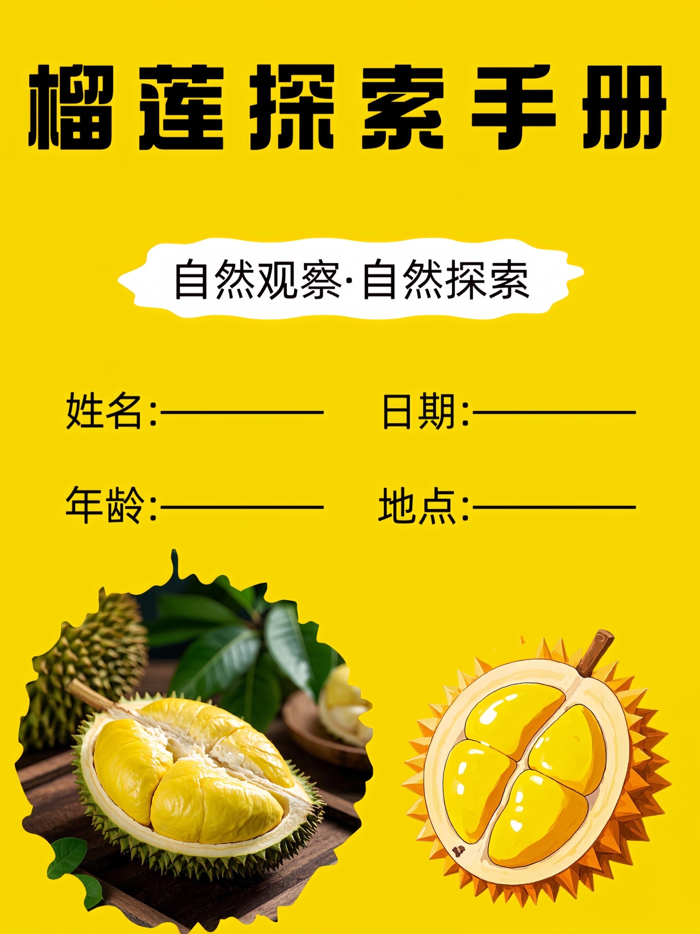 榴莲app下载-(惯性导航 imu)